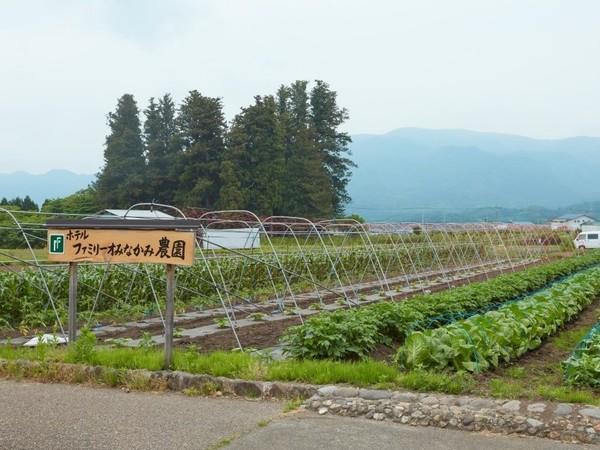 水上之家酒店 水上町 外观 照片